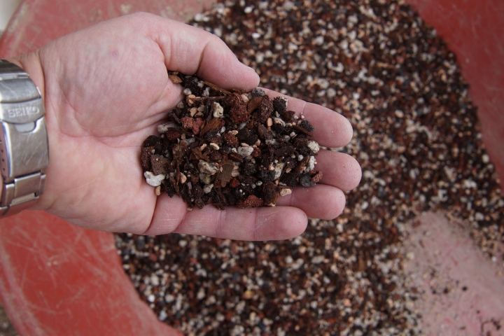 BONSAI SOIL, HEART OF DIXIE STYLE